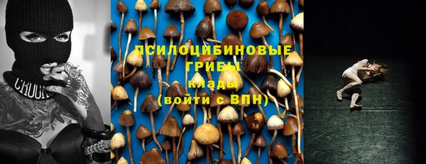 PSILOCYBIN Верхнеуральск